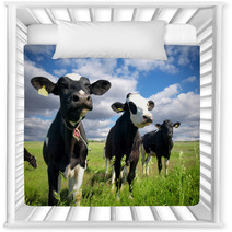 Calves On The Country Field Nursery Decor 59639069