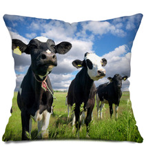 Calves On The Country Field Pillows 59639069
