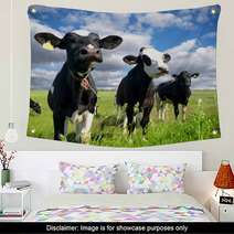 Calves On The Country Field Wall Art 59639069
