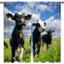 Calves On The Country Field Window Curtains 59639069
