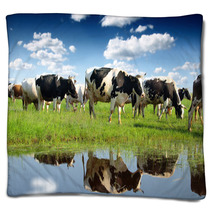 Calves On The Field Blankets 59614342