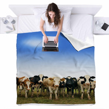 Calves On The Field Blankets 66228451