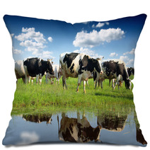 Calves On The Field Pillows 59614342