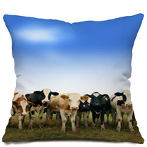 Calves On The Field Pillows 66228451