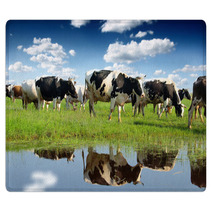 Calves On The Field Rugs 59614342