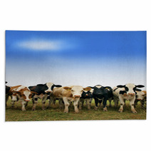 Calves On The Field Rugs 66228451