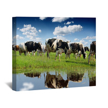 Calves On The Field Wall Art 59614342
