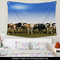 Calves On The Field Wall Art 66228451
