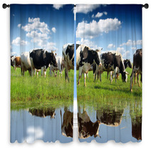 Calves On The Field Window Curtains 59614342