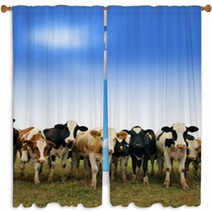 Calves On The Field Window Curtains 66228451