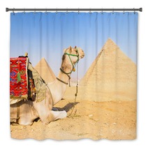 Camel At Giza Pyramides, Cairo, Egypt. Bath Decor 53637770