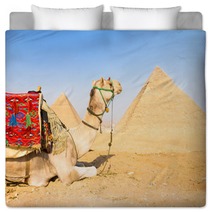 Camel At Giza Pyramides, Cairo, Egypt. Bedding 53637770