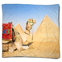 Camel At Giza Pyramides, Cairo, Egypt. Blankets 53637770
