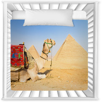 Camel At Giza Pyramides, Cairo, Egypt. Nursery Decor 53637770
