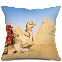 Camel At Giza Pyramides, Cairo, Egypt. Pillows 53637770