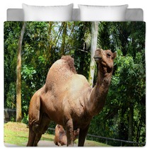 Camel.. Bedding 99719594