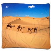 Camel Caravan In The Sahara Desert, Morocco Blankets 56897769