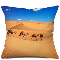 Camel Caravan In The Sahara Desert, Morocco Pillows 56897769