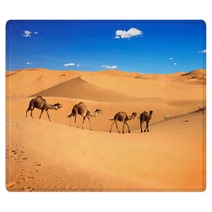 Camel Caravan In The Sahara Desert, Morocco Rugs 56897769