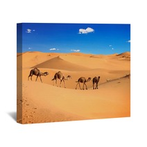 Camel Caravan In The Sahara Desert, Morocco Wall Art 56897769