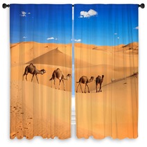 Camel Caravan In The Sahara Desert, Morocco Window Curtains 56897769