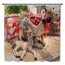 Camel Cub Lying With Mother Bath Decor 61750446