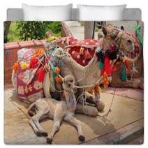 Camel Cub Lying With Mother Bedding 61750446