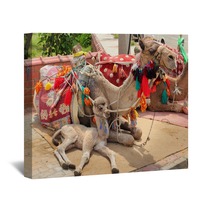 Camel Cub Lying With Mother Wall Art 61750446
