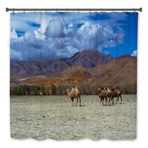 Camel Herd And Mountain View Steppe Landscape, Blue Sky With Clouds. Chuya Steppe Kuray Steppe In The Siberian Altai Mountains, Russia Bath Decor 99606700
