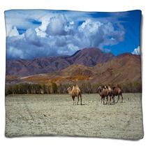 Camel Herd And Mountain View Steppe Landscape, Blue Sky With Clouds. Chuya Steppe Kuray Steppe In The Siberian Altai Mountains, Russia Blankets 99606700