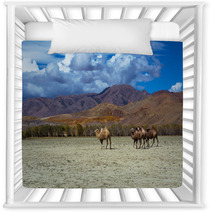 Camel Herd And Mountain View Steppe Landscape, Blue Sky With Clouds. Chuya Steppe Kuray Steppe In The Siberian Altai Mountains, Russia Nursery Decor 99606700