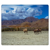 Camel Herd And Mountain View Steppe Landscape, Blue Sky With Clouds. Chuya Steppe Kuray Steppe In The Siberian Altai Mountains, Russia Rugs 99606700