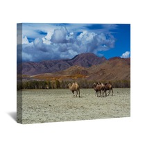 Camel Herd And Mountain View Steppe Landscape, Blue Sky With Clouds. Chuya Steppe Kuray Steppe In The Siberian Altai Mountains, Russia Wall Art 99606700