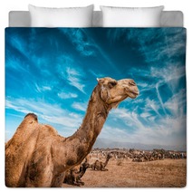 Camel  In India Bedding 100514278
