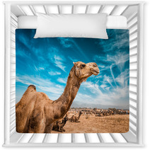 Camel  In India Nursery Decor 100514278