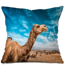 Camel  In India Pillows 100514278