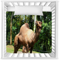 Camel.. Nursery Decor 99719594