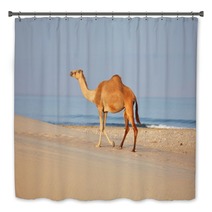 Camel On Beach
 Bath Decor 100045007