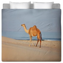 Camel On Beach
 Bedding 100045007