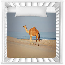 Camel On Beach
 Nursery Decor 100045007
