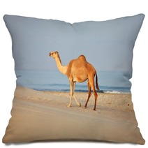 Camel On Beach
 Pillows 100045007