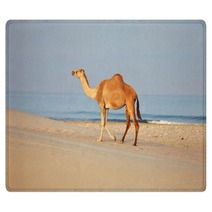 Camel On Beach
 Rugs 100045007
