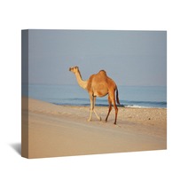 Camel On Beach
 Wall Art 100045007