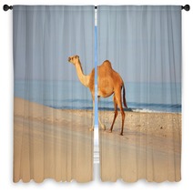Camel On Beach
 Window Curtains 100045007