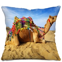 Camel On The Background Of The Blue Sky. Bikaner, India Pillows 40959331