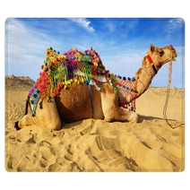 Camel On The Background Of The Blue Sky. Bikaner, India Rugs 40959331