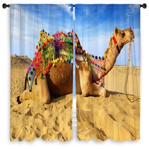 Camel On The Background Of The Blue Sky. Bikaner, India Window Curtains 40959331
