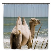 Camel on the background of the sea Bath Decor 100780365