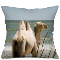 Camel on the background of the sea Pillows 100780365