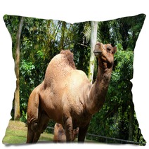 Camel.. Pillows 99719594
